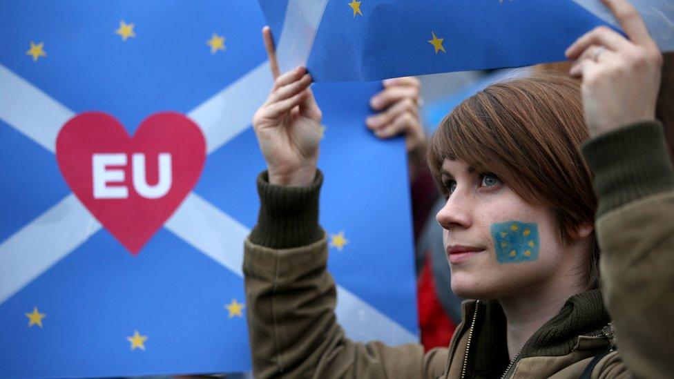 Pro EU demonstration