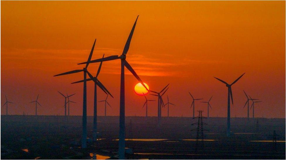 Wind farm in sunset