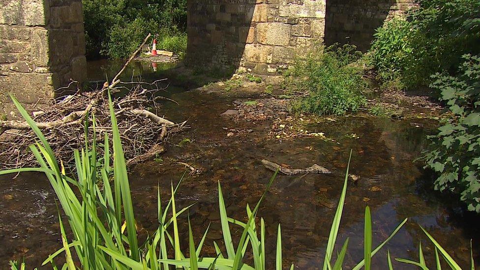 River Taw