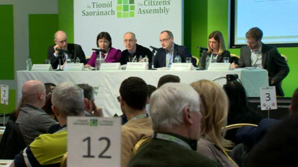 The Irish Citizens' Assembly hears from a panel of experts