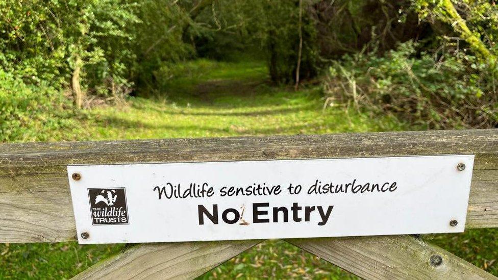 Woodland protected by a gate with a sign saying "wildlife sensitive to disturbance, no entry"