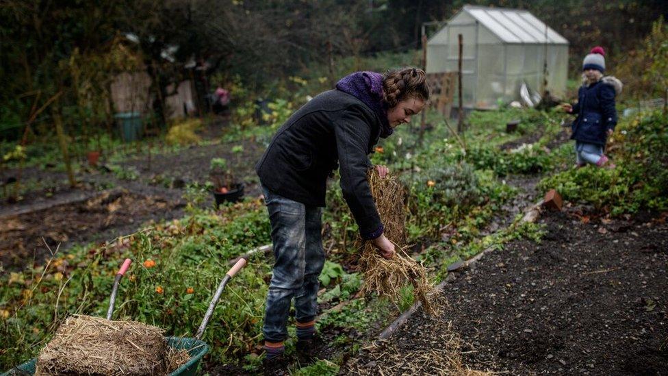 Community garden