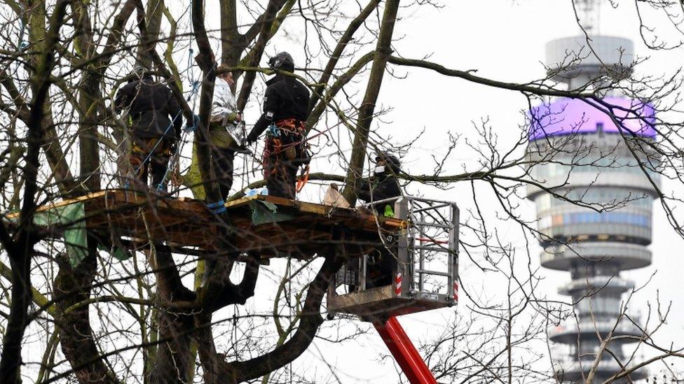 Protesters in trees