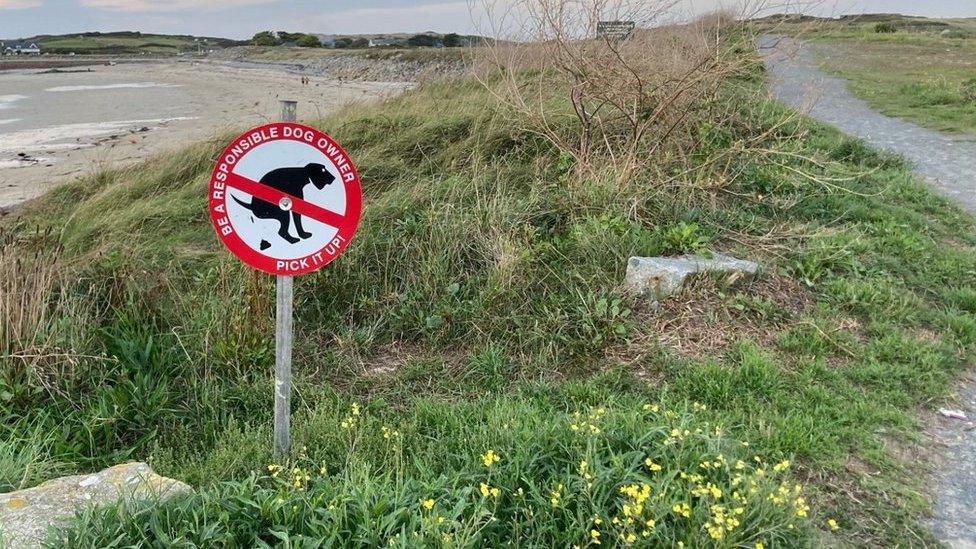 Responsible dog owner sign at Ladies Bay