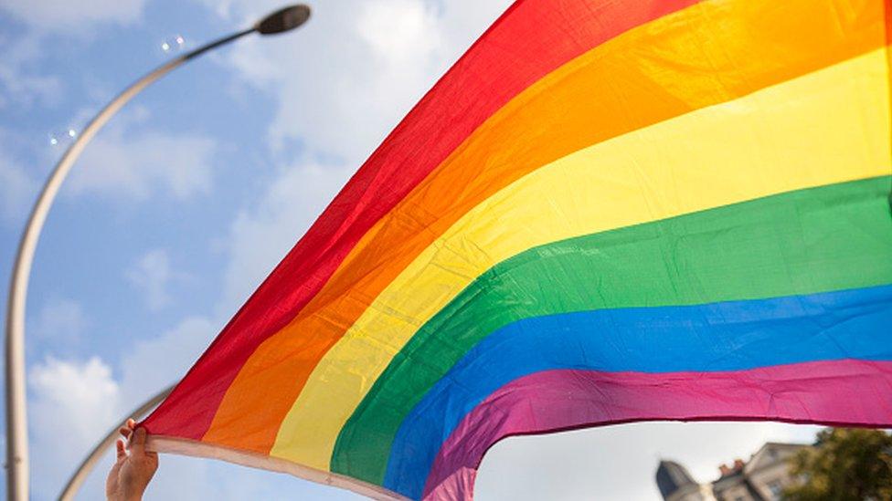 A participant a holding the pride flag during an LGBT march in Germany