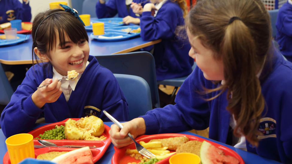 Two school children at a school dinner table