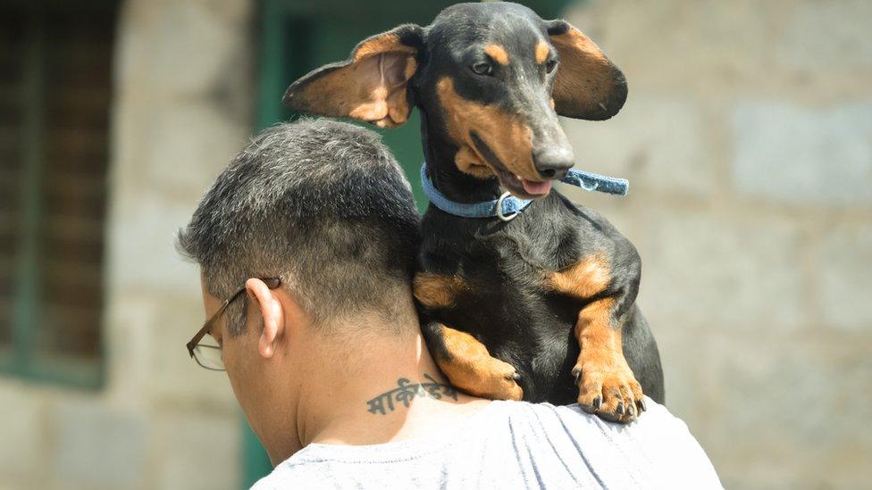 Rakesh Shukla with one of his dogs