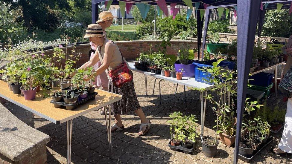 A plant sale by The Higgins, Bedford