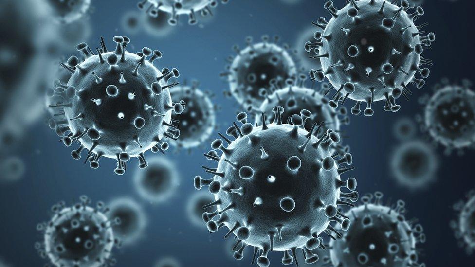 Influenza virus