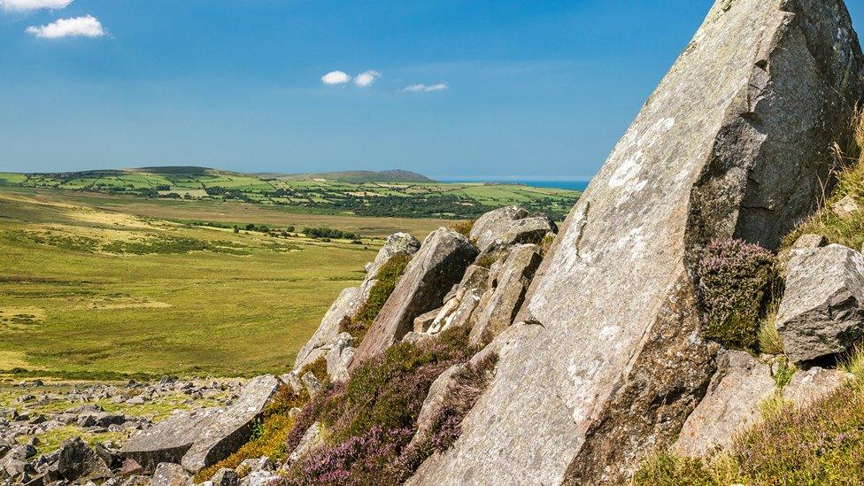 Carn Goedog, Preseli