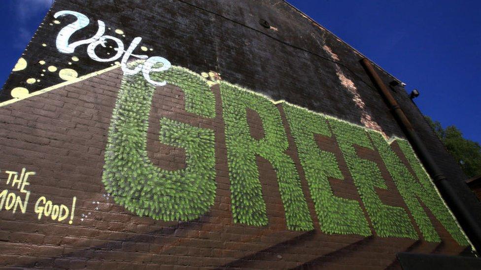 A Green Party mural on Gertrude Road in the Sewell ward of Norwich last year