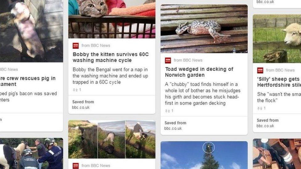 Screengrab of a Pinterest board