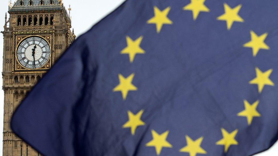 Europe flag outside parliament