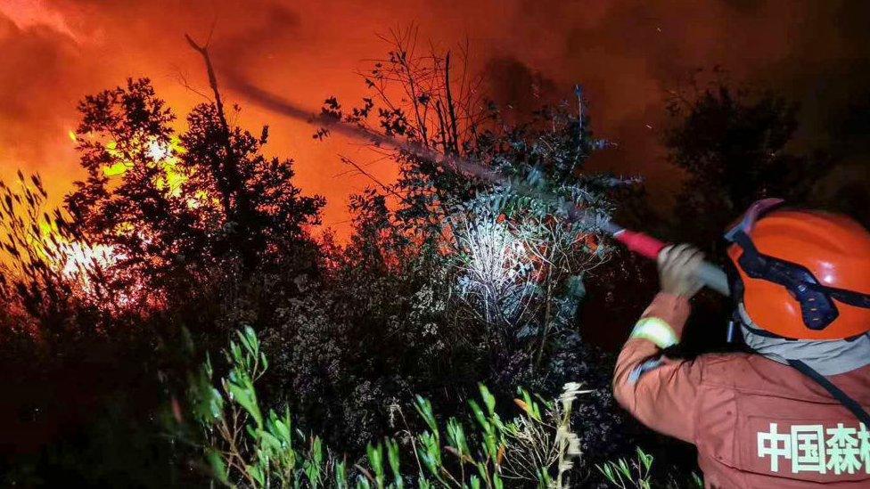 A firefighter battles a forest blaze in Xichang in China's southwestern Sichuan province