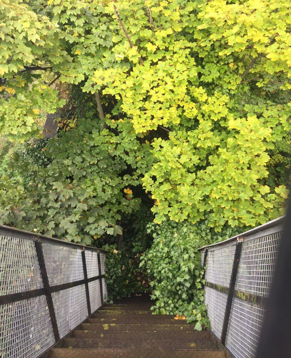 The view of the cemetery from the gate