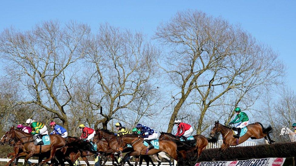 Runners and riders in action as they compete in the Boulton Group Midlands Grand National at Uttoxeter Racecourse, Staffordshire