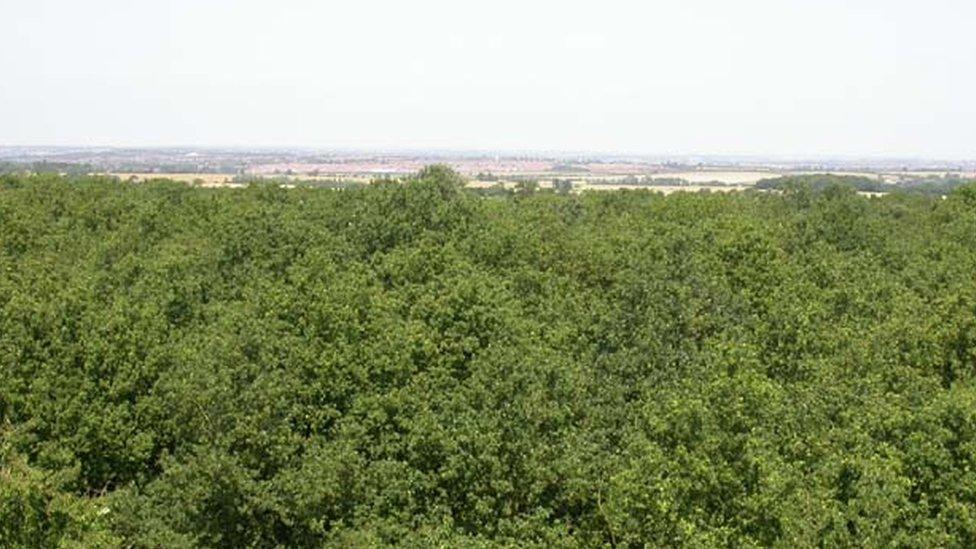 View from Tree Top Way in Northamptonshire.