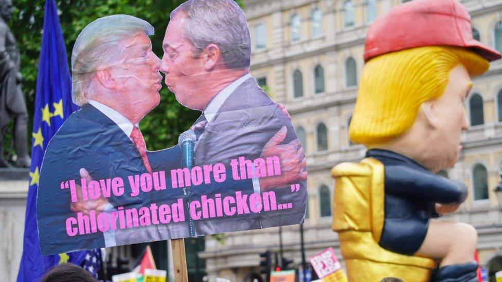 protest signs over brexit and chlorinated chicken