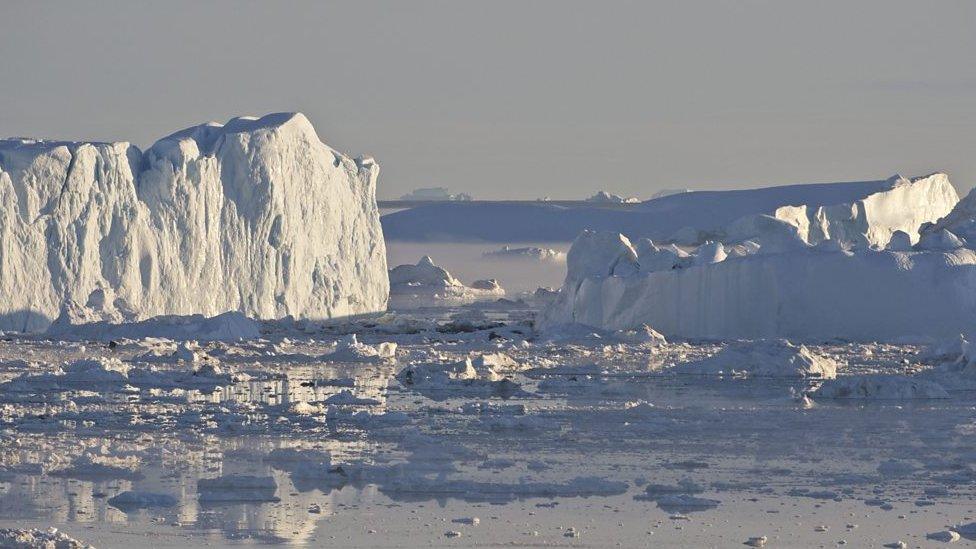 Ice from the famous glacier Sermeq Kujalleq