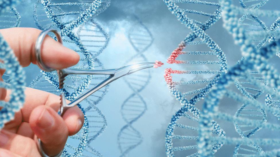 Scissors adding a molecule to DNA