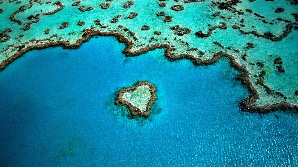 The Great Barrier Reef