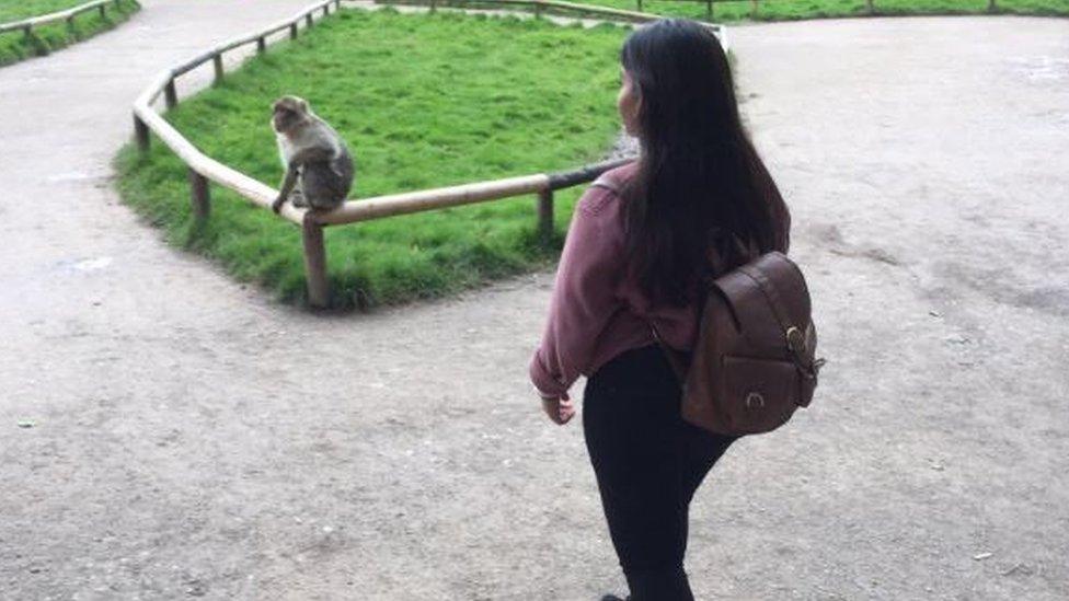 monkey sitting on a fence and a woman approaching