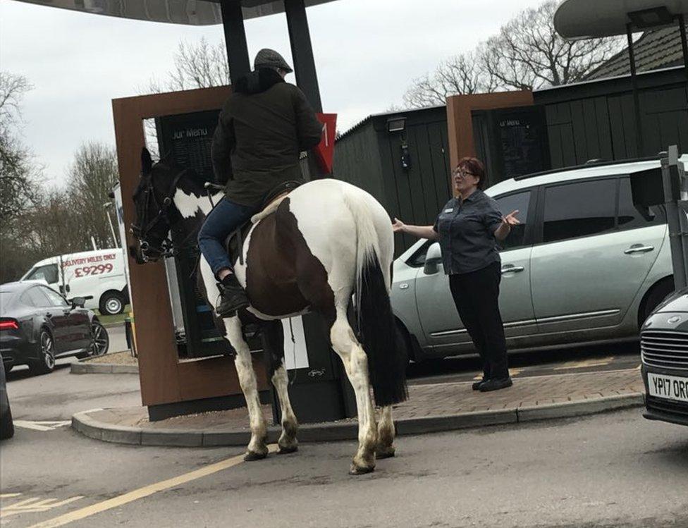 horse at drive through