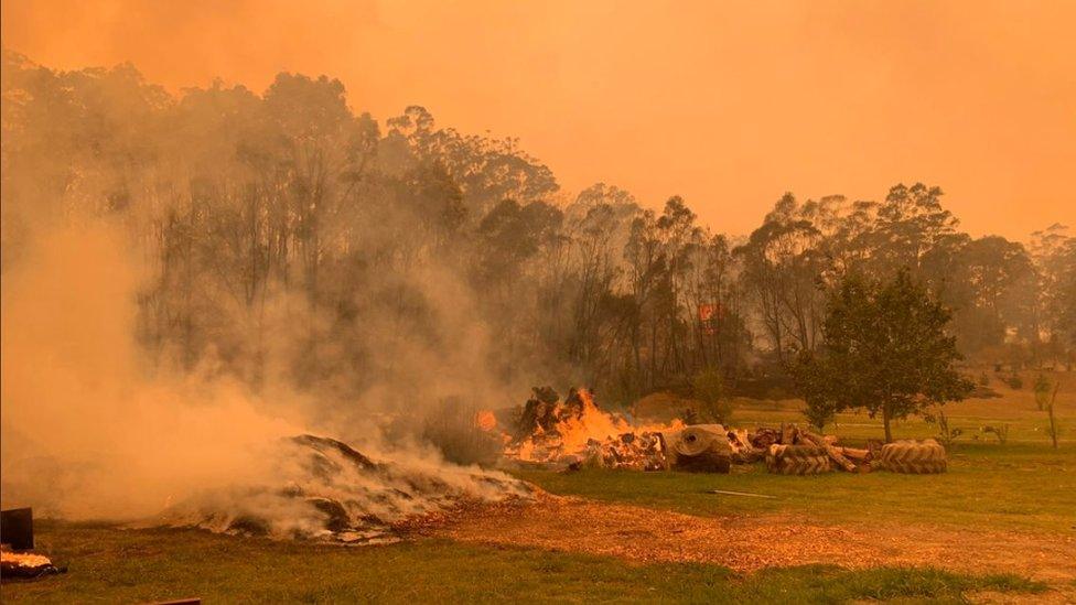 Mogo Zoo enclosure with bushfires