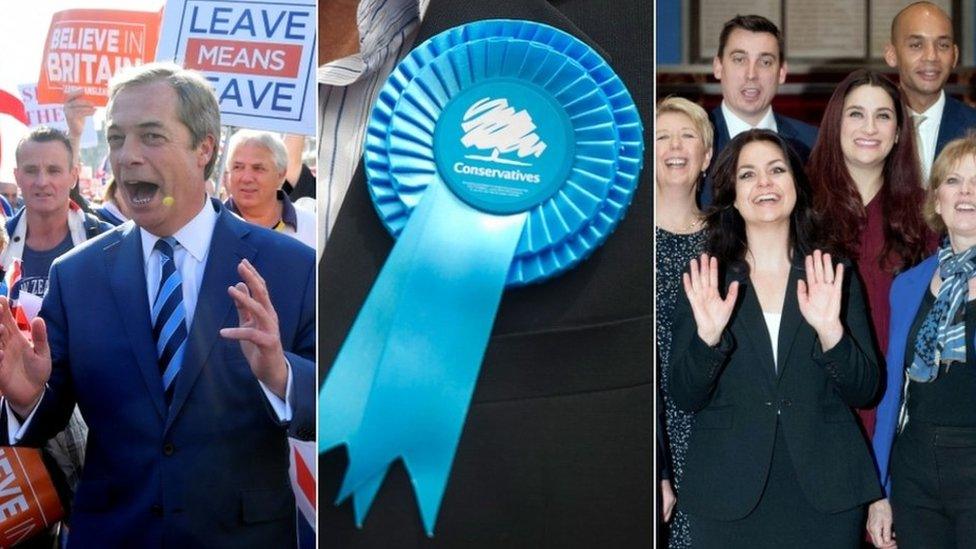 Nigel Farage, a candidate wearing a Conservative rosette and members of the Independent Group of MPs