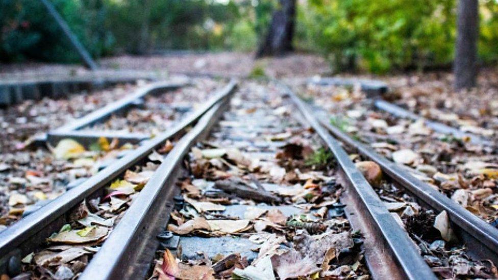 Leaves on railway line