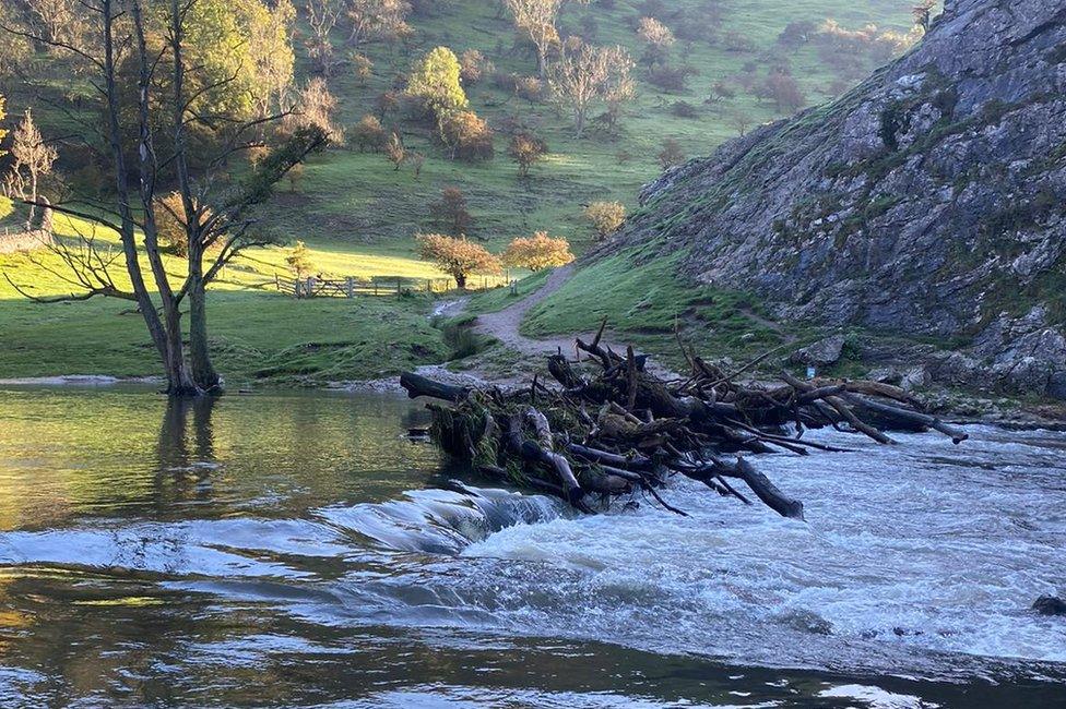 Debris on the stepping stones on 22 October, shortly after Storm Babet