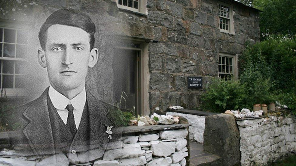 hedd wyn