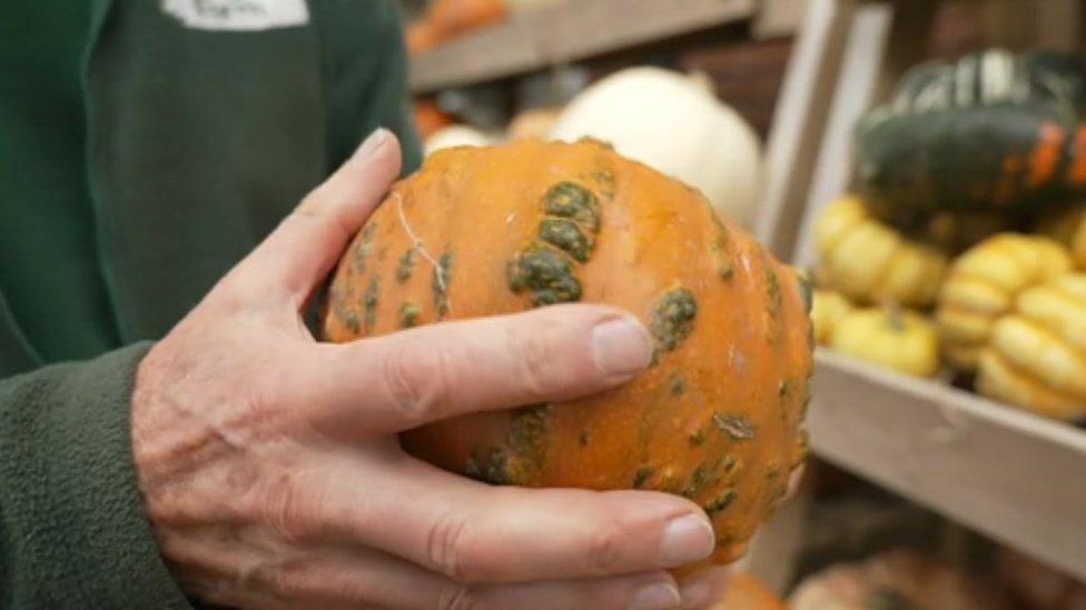 Richard Simkin with a pumpkin