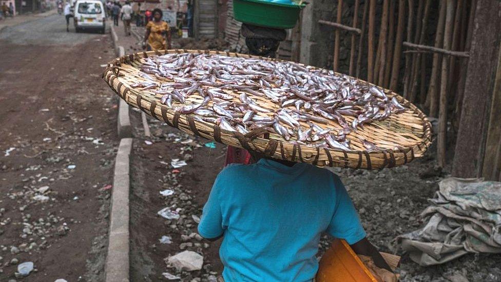 Woman carry a large tray of small fish in the street in Goma