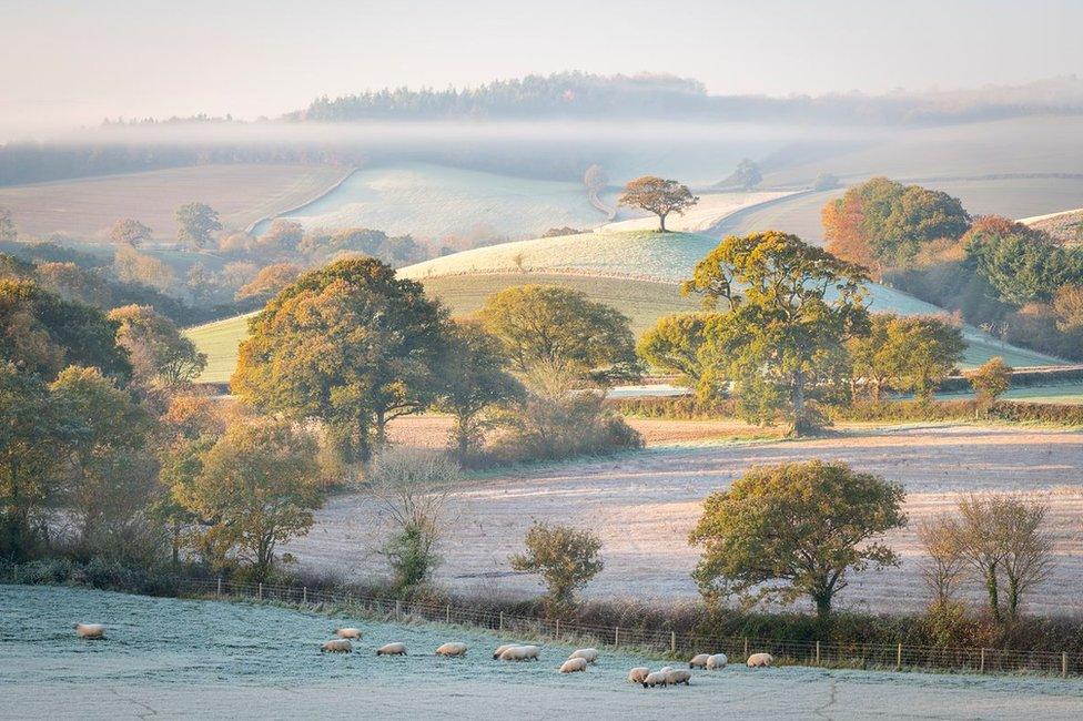 A landscape view of Devon countryside