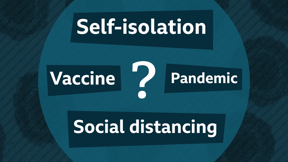 Coronavirus: What do all the terms mean?