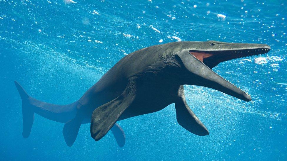 Mosasaur