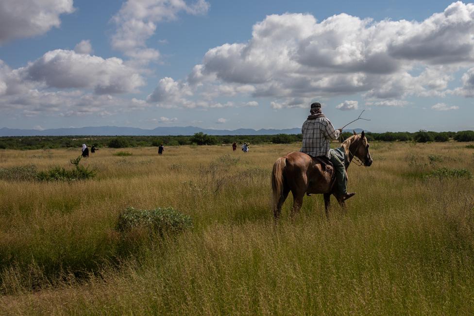 A cowboy helps to locate human remains during a search