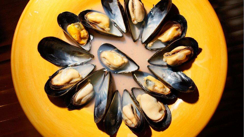 Plate of mussels