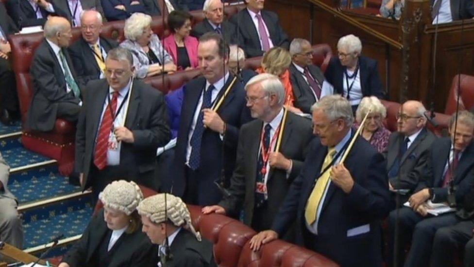 Peers during a recent vote in the House of Commons