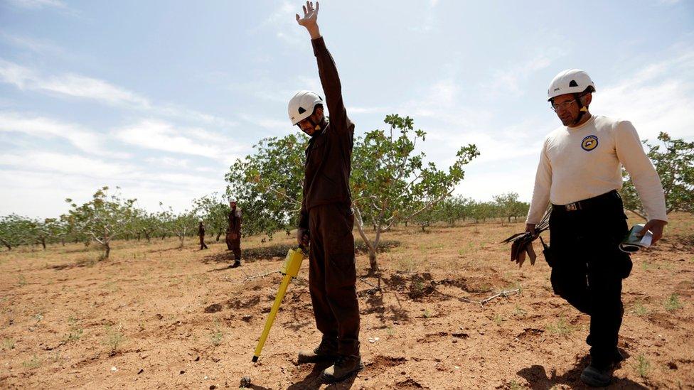 A civil defence member raises his hand after finding a cluster bomb inside an orchard in al-Tmanah town in southern Idlib countryside, Syria (May 21, 2016)