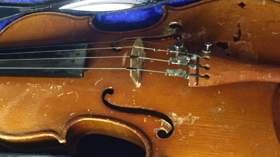 Violin