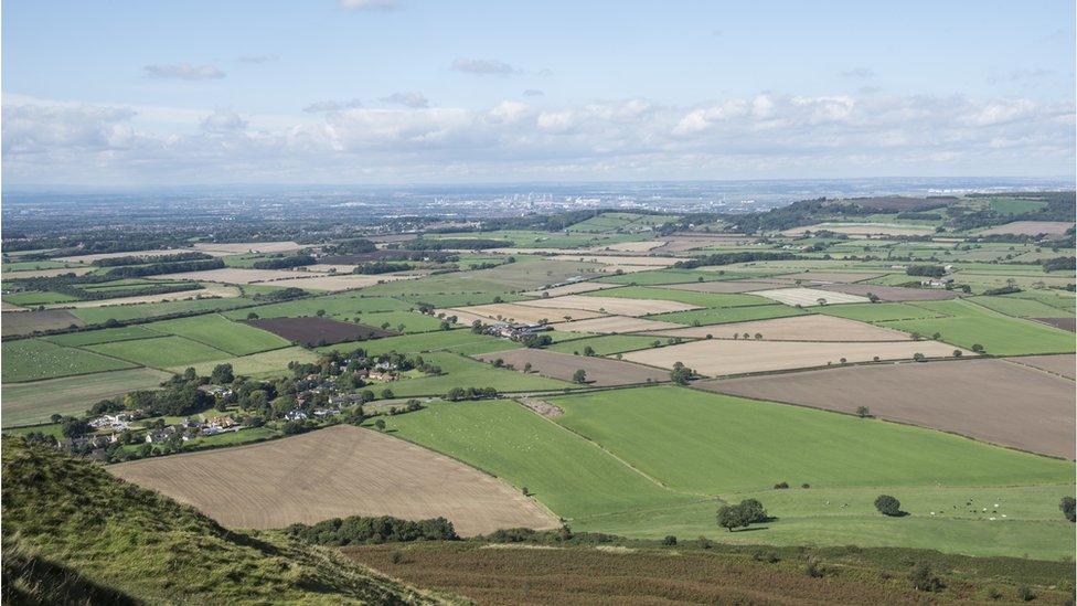 Top of Roseberry Topping