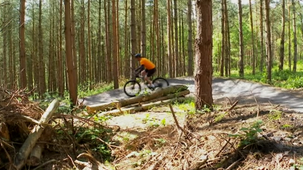 Cannock Chase cycle track