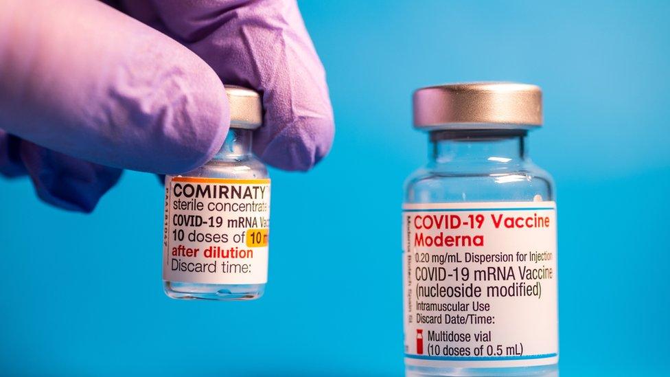 Pfizer and Moderna vaccines