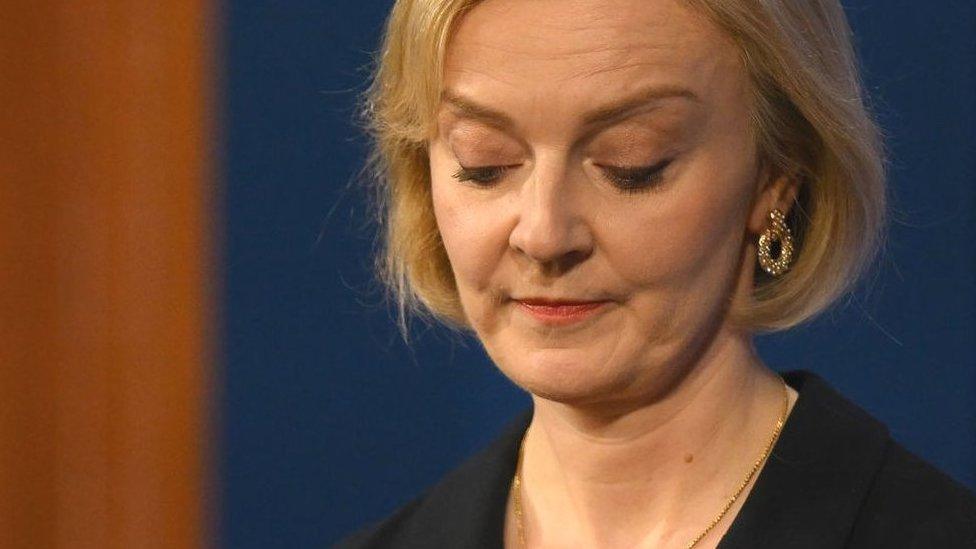 Liz truss