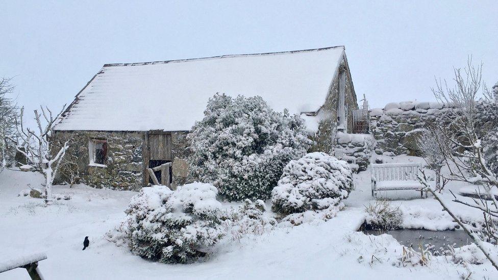 Snow-covered building and garden