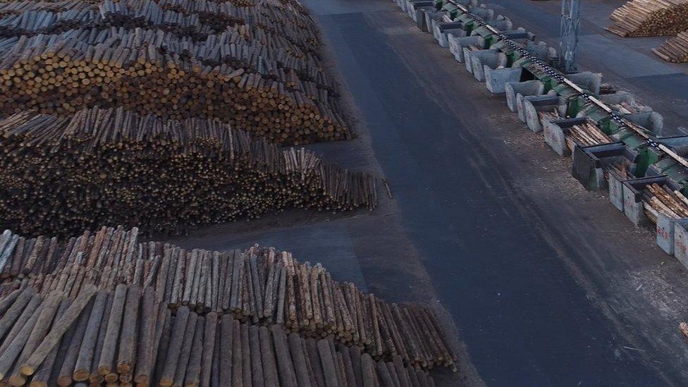 Sawmill at Sebes in Romania