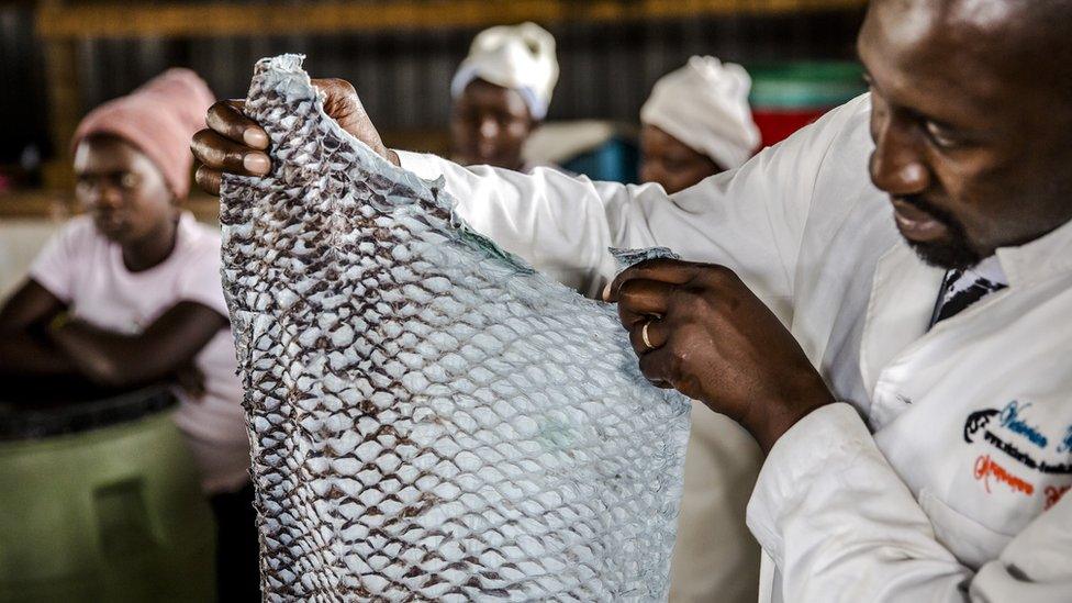 Victorian Foods' James Ambani shows a tanned fish skin