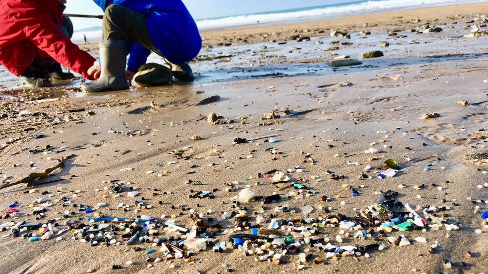 beach clean